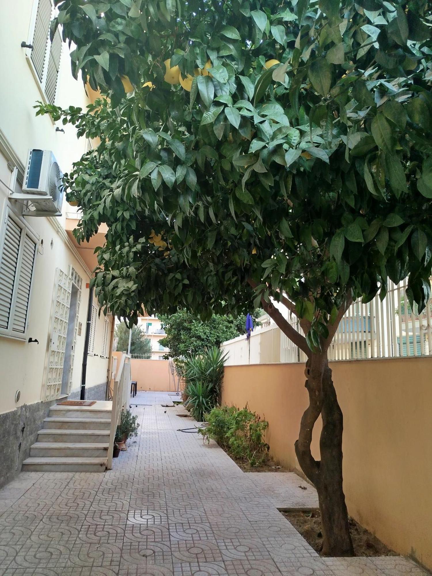 B&B Confort Reggio di Calabria Kültér fotó